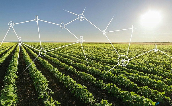 成都盎柒监控—农业物联网生产监控包括什么？