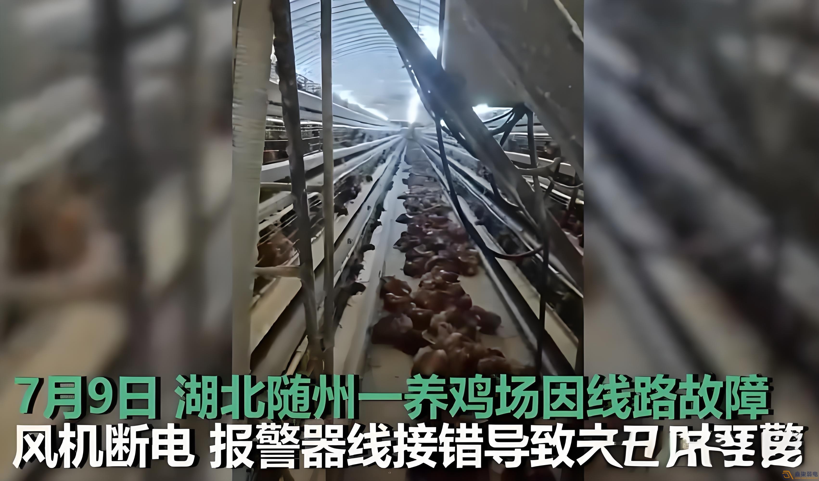 养鸡场为什么要24h监测温湿度断电报警器？